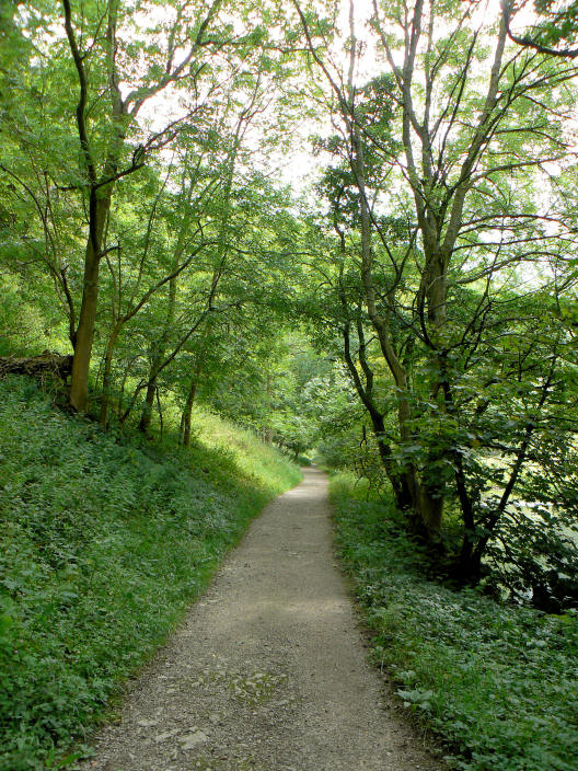 Wolfscote Dale Wolfscote Dale